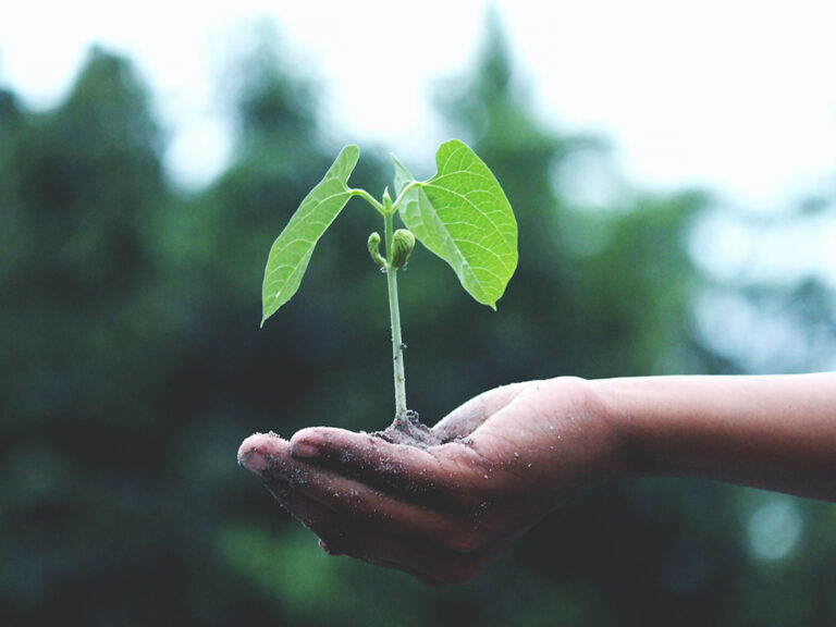 Nachhaltigkeit – Traditionell zukunftsorientiert